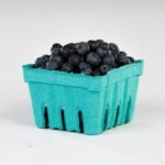 Pactiv Berry Basket Mold