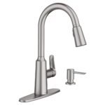 Moen Edwyn Kitchen Faucet