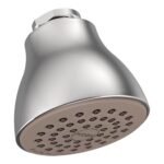 Moen Shower Head 6300EP