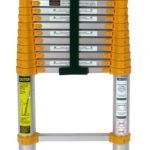 Xtend 770P Telescoping Ladder