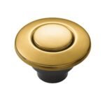 Moen Gold Air Switch
